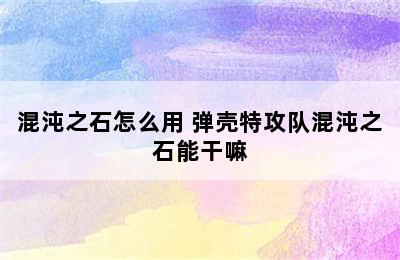 混沌之石怎么用 弹壳特攻队混沌之石能干嘛